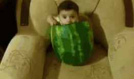 吃不吃瓜音频,揭秘“吃不吃瓜”音频背后的热点追踪与娱乐风向