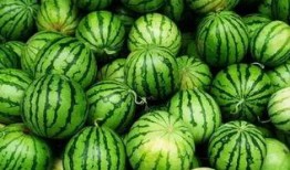 最新免费吃瓜群,畅享热门资讯，轻松成为娱乐圈知情者