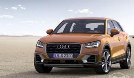 奥迪销冠吃瓜,揭秘汽车销售界的神秘内幕