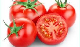 番茄小说吃瓜剧情,吃瓜群众背后的秘密风云