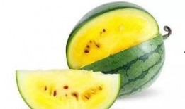 谷圈吃瓜酱,揭秘娱乐圈那些不为人知的幕后故事