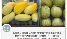 吃海南玲珑瓜,舌尖上的热带风情