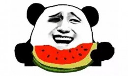 吃瓜舔掉吞金,揭秘网络热词背后的趣味与哲理