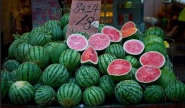 星落吃瓜,揭秘娱乐圈背后的秘密与八卦