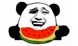 中班教案《瓜瓜吃瓜》,趣味认知与动手操作相结合的亲子活动