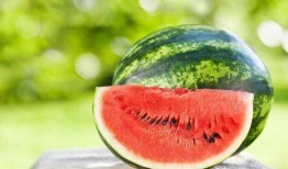 关于最近吃瓜,揭秘近期热门吃瓜事件背后的真相