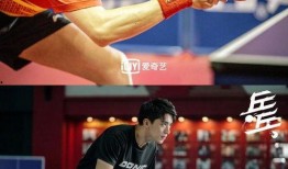 荣耀乒乓吃瓜,吃瓜群众揭秘赛场背后的精彩故事