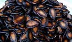 黑瓜吃瓜子,黑瓜吃瓜子的奇妙之旅