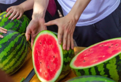 名航大学吃瓜,揭秘校园里的那些事儿