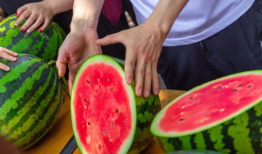 名航大学吃瓜,揭秘校园里的那些事儿