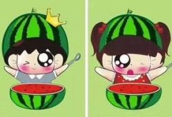 吃瓜到打嗝,揭秘夏日消暑美食的奇妙之旅