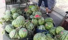 郑州财经事件吃瓜