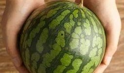 琦儿吃瓜,揭秘娱乐圈幕后故事