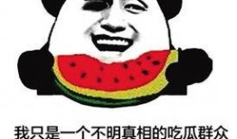 网络语言吃瓜群众,吃瓜群众的崛起与影响