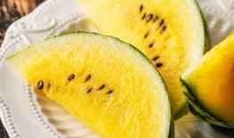 甜李村水面吃瓜,共享丰收喜悦