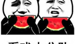 表情吃瓜什么含义,网络流行语的趣味解读