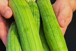 三瓜吃瓜,夏日消暑新风尚，瓜果盛宴来袭