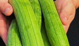 三瓜吃瓜,夏日消暑新风尚，瓜果盛宴来袭