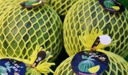 吃瓜海安,揭秘这座城市的美食传奇