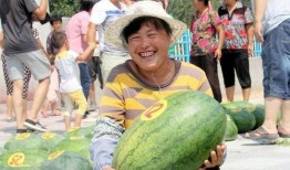 莱州沙河幼儿园吃瓜网站