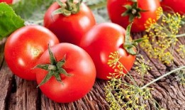 会吃瓜的西红柿,揭秘蔬果界的“跨界明星”