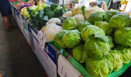 临沧大妈吃瓜,一场别开生面的“吃瓜”盛宴