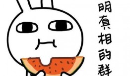 网神吃瓜,揭秘娱乐圈幕后真相