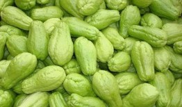 吃瓜群众变成吃瓜群众赛罗,一场全民狂欢的蜕变之旅