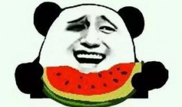 吃瓜怎么搜,一探究竟的搜索技巧解析