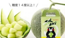 静冈吃瓜,探寻日本静冈的甜蜜秘密