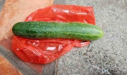 最近有哪些瓜可以吃,哪些新鲜“瓜”等你来尝？