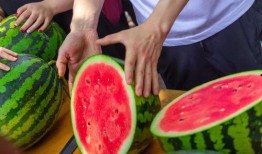 梦见在学校吃瓜,一场梦境中的甜蜜回忆