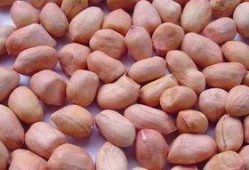 mt蜜糖吃瓜,揭秘网红吃瓜背后的甜蜜诱惑