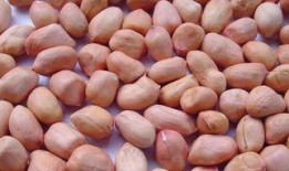 mt蜜糖吃瓜,揭秘网红吃瓜背后的甜蜜诱惑