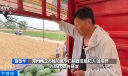 商丘睢阳区吃瓜事件始末,一场网络热议的真相追踪