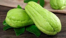 姿葛瓜吃,探寻传统美食的独特魅力