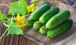 琦儿吃瓜,揭秘娱乐圈幕后故事