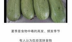 白色圆瓜怎么吃,解锁美味新境界