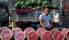 重庆高温吃瓜,重庆夏日高温下的清凉“瓜”事