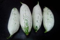 长垣吃瓜女主信息,揭秘网络热议背后的真相