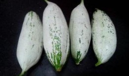 长垣吃瓜女主信息,揭秘网络热议背后的真相