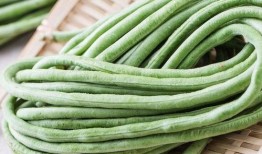 吃蛇瓜怎么保存冬天吃,美味延续，尽享冬日佳肴