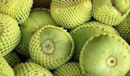 吃瓜忻州,吃瓜群众眼中的地方风情