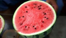 西中吃瓜,揭秘娱乐圈的甜蜜与苦涩