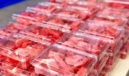 破旧工厂吃瓜,见证岁月流转的市井烟火