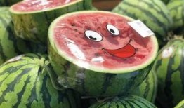 吃瓜海安,揭秘这座城市的美食传奇