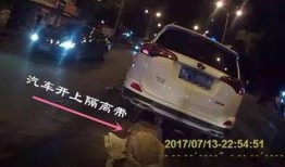 逮捕吃瓜群众怎么处理,法律边界与公众权益的平衡探讨