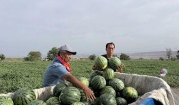 吃瓜涿州,揭秘当地特色美食之旅