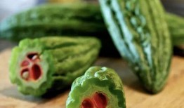 最近有哪些瓜可以吃,哪些新鲜“瓜”等你来尝？