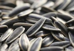 洛杉矶华人吃瓜,吃瓜文化背后的社区生活剪影